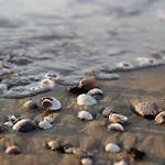 A Calm Escape Close To The - Beahost Bibione