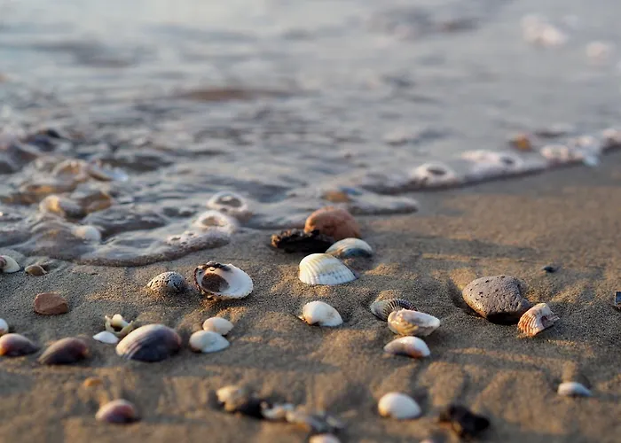A Calm Escape Close To The - Beahost Bibione