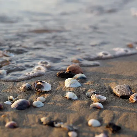 Lejlighed A Calm Escape Close To The - Beahost Bibione